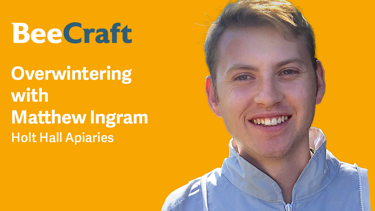 matt-ingram-holt-hall-apiaries