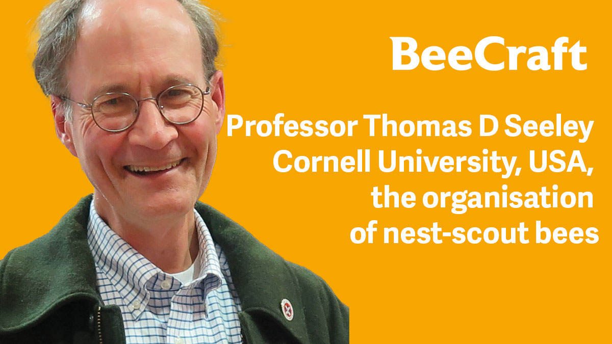 thomas-d-seeley-nest-scouts