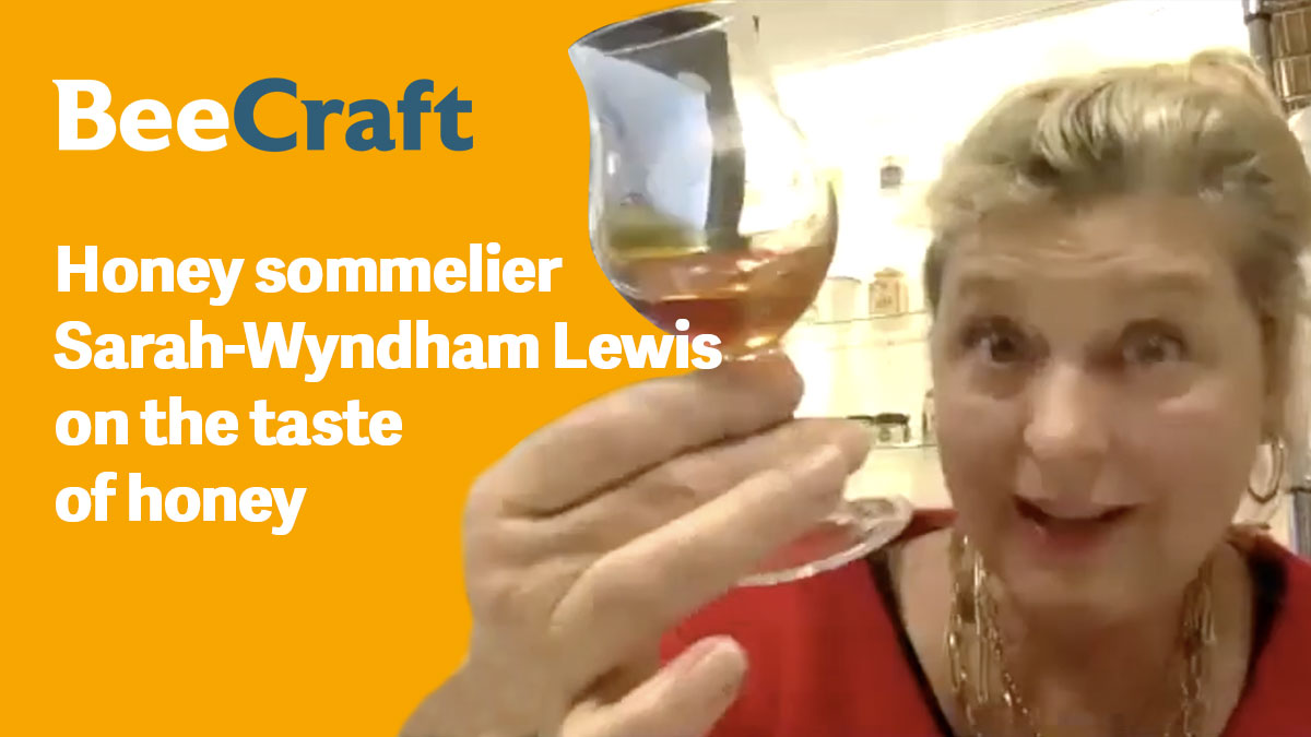 Sarah-Wyndham-Lewis-Honey-Sommelier