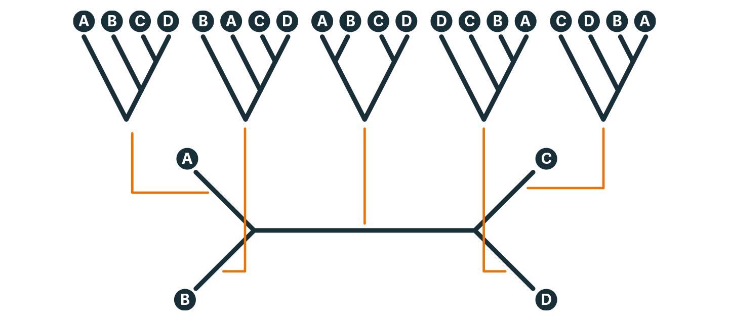 beecraft-evolution-diag5-1