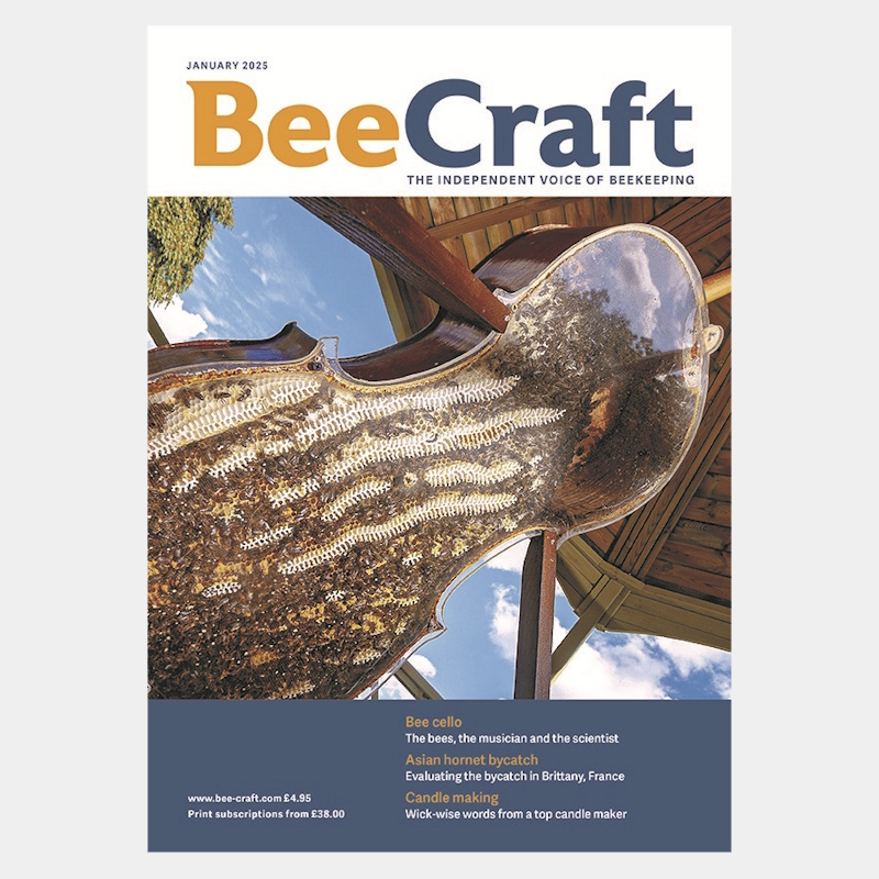 Back Issue – January 2025