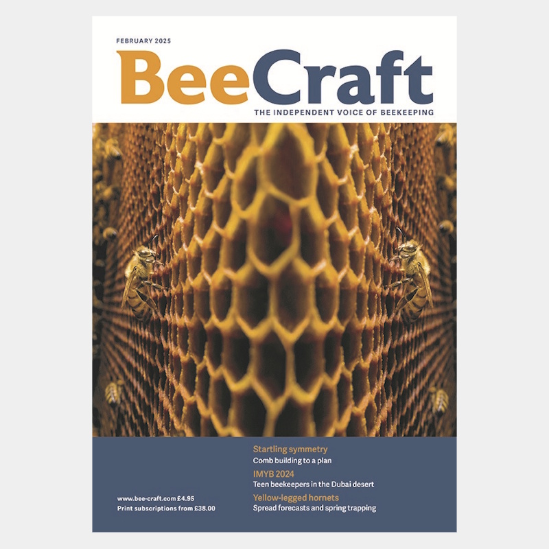 Back Issue – February 2025