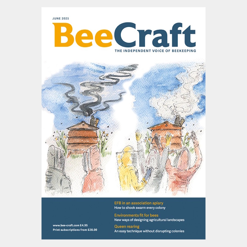 Back Issue – June 2025