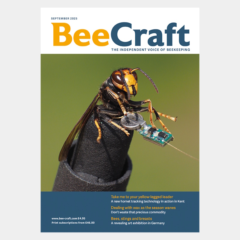 Back Issue – September 2025