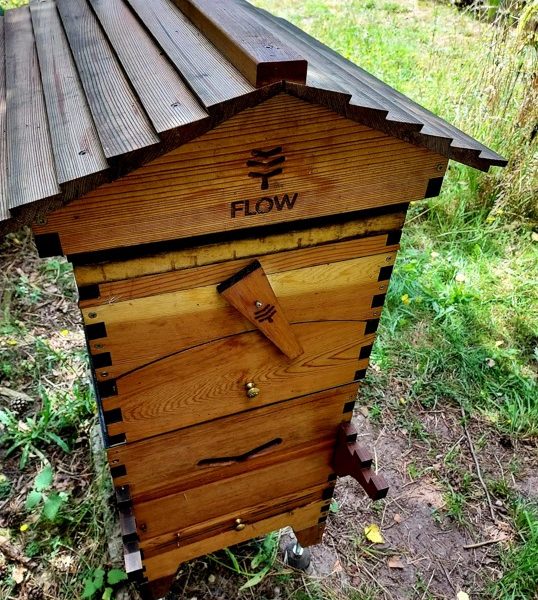 Sideline beekeeping on the country side