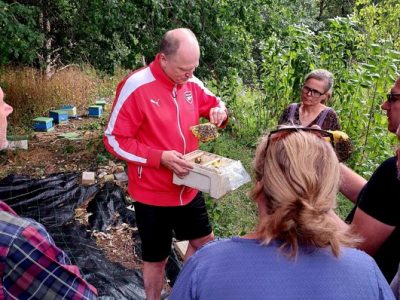 Sideline beekeeping on the country side