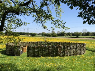 Come and visit our apiary and our beekeeping