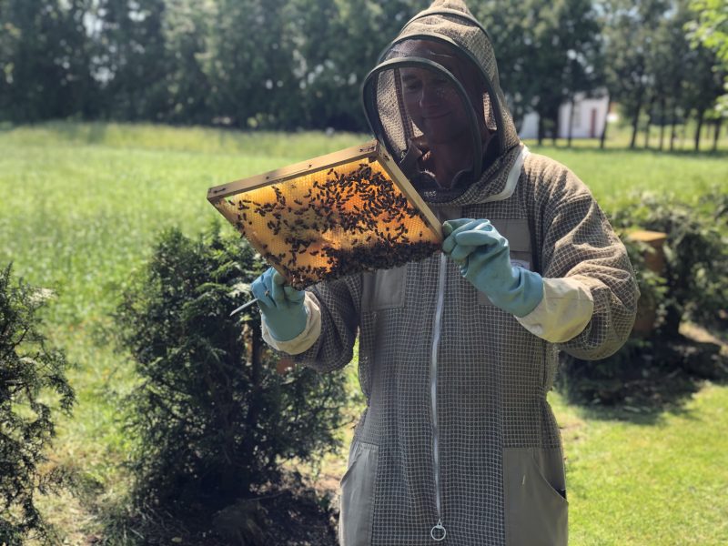 Come and visit our apiary and our beekeeping