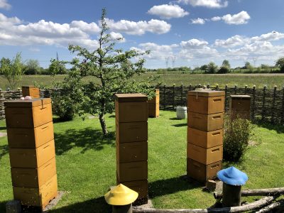 Come and visit our apiary and our beekeeping