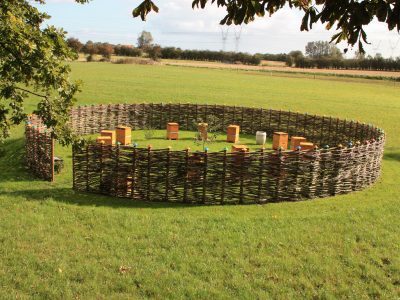 Come and visit our apiary and our beekeeping