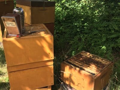 Familyrun beekeeping based in the Lake Highlands, in central Jutland near Aarhus and Silkeborg. We would love to welcome beekeepers from around the world and share the Scandinavian beekeeping tradition.