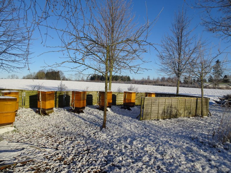 Visit our beekeeping operation