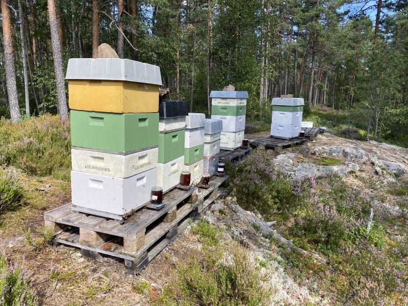 Honning-huset på Romerike