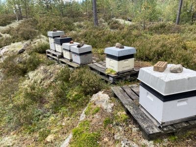 Honning-huset på Romerike