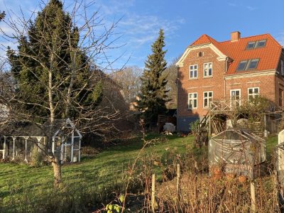 Visit a Danish Hobby Beekeeper - homestay