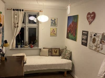 Visit a Danish Hobby Beekeeper - homestay