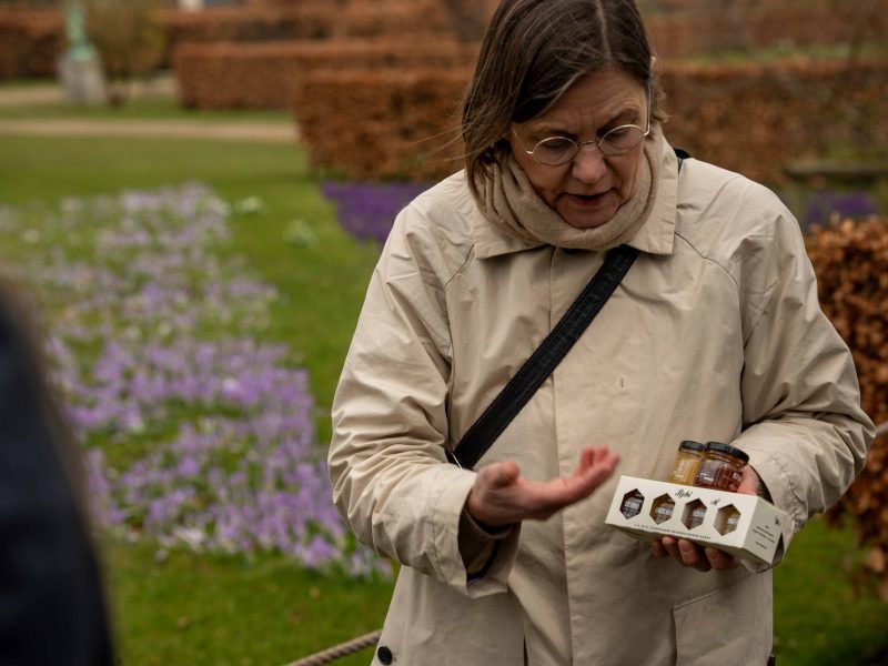 A Walk in Copenhagen with Gardens, Bees and City Life