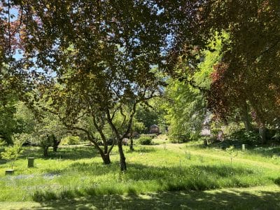 Visit an apiary in beautiful surroundings