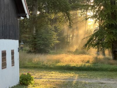 Visit an apiary in beautiful surroundings