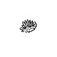 Logo_Ringelblume_neu Logo_Ringelblume_neu
