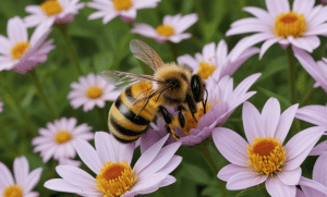 what flowers have nectar for bees