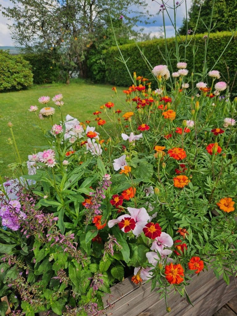 018a9e6e-fab6-47b1-b035-b1673c41dd8a