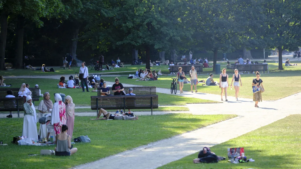 Canicule : la course aux refuges de fraîcheur