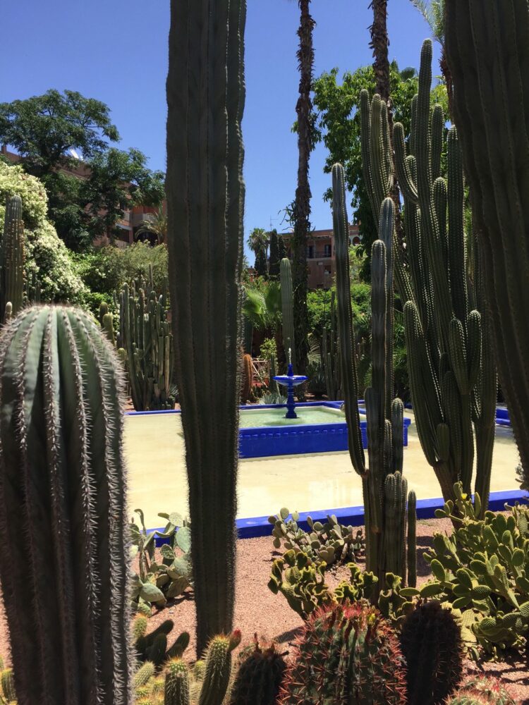 Marrakesh - Jardin Majorelle