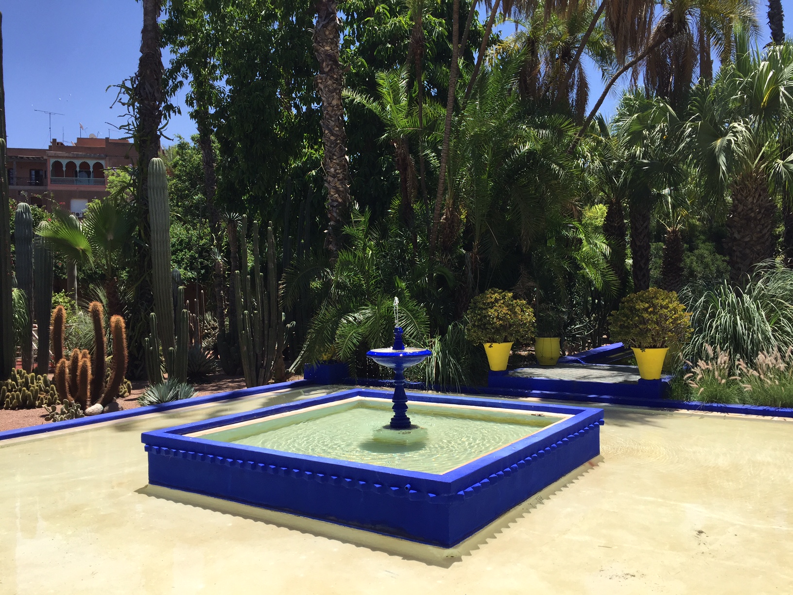 Marrakesh - Jardin Majorelle