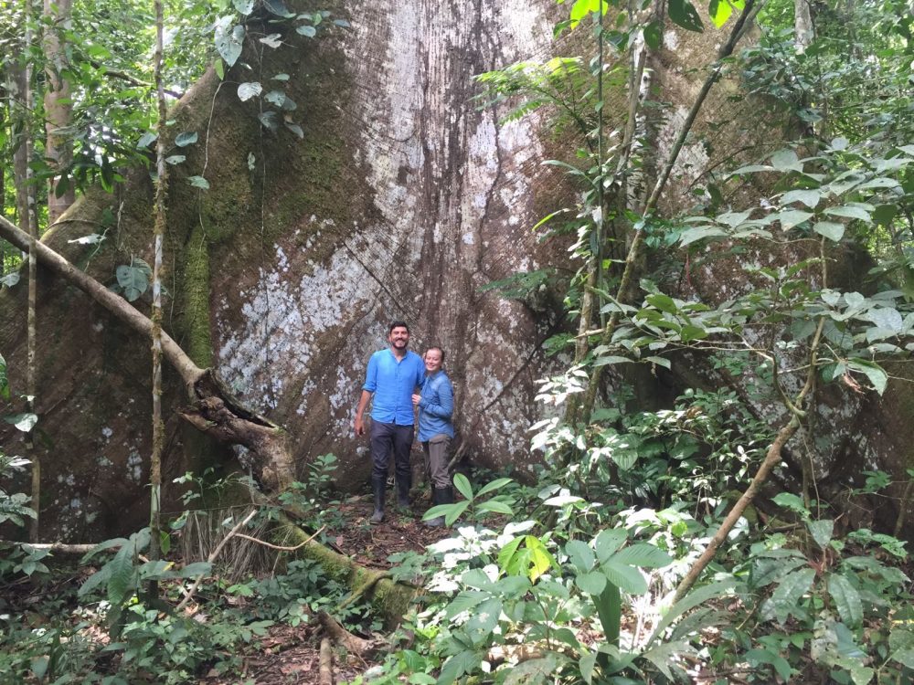 Jungle Ecuador