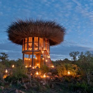 Kenia Segera birds nest Kenia