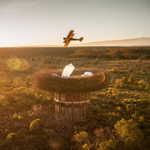 Kenya Bird's nest