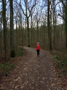 Eltz Castle Hike