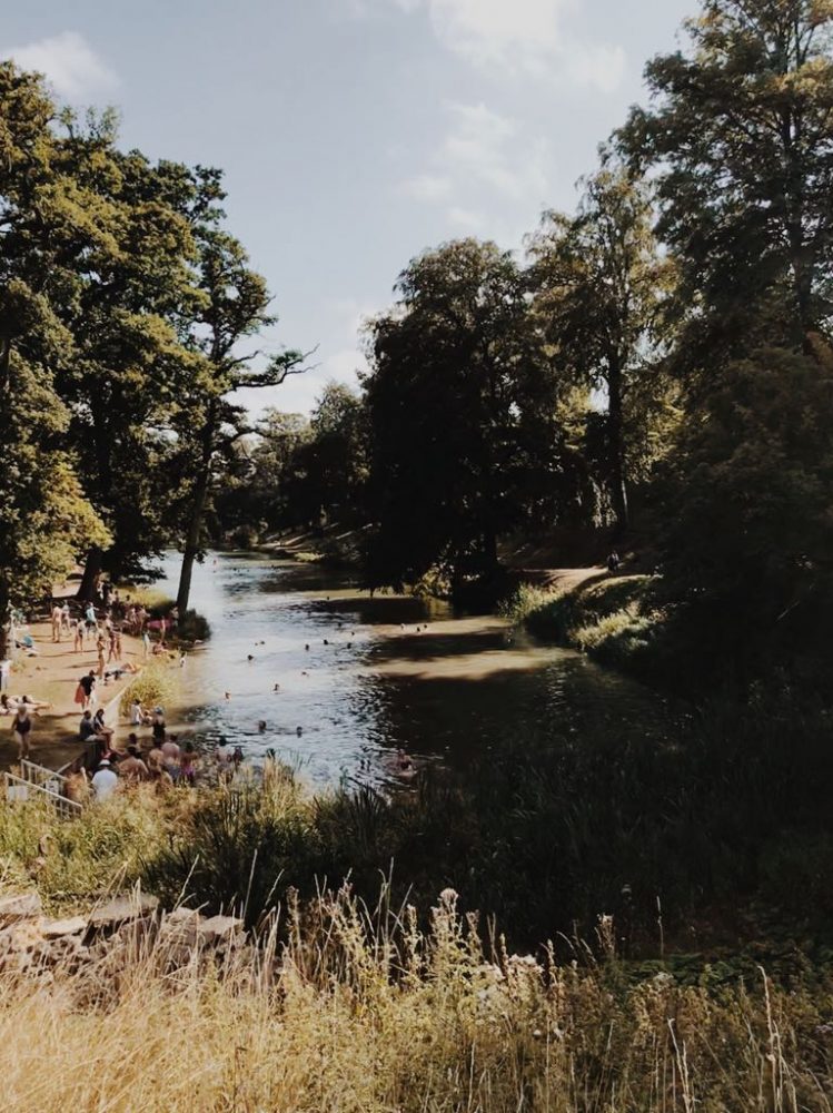 Wilderness festival lake