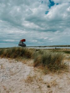 Marker Wadden Flevoland