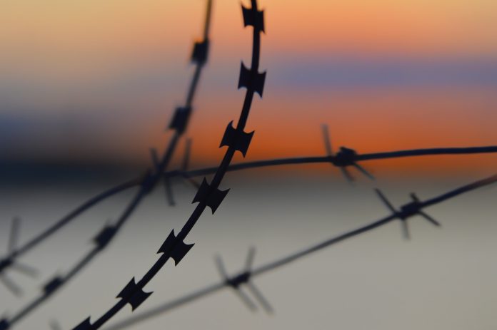silhouette of barbwire during sunset