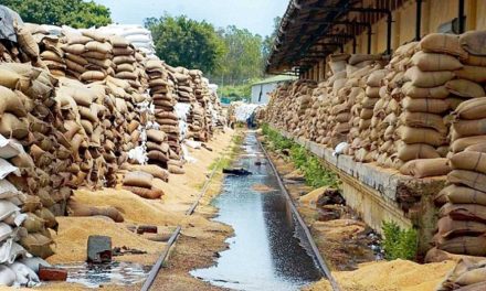 Guaranteed procurement of food grains by FOOD CORPORATION OF INDIA needs to stop