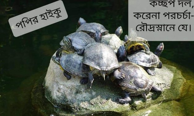 হাইকু ও আমি