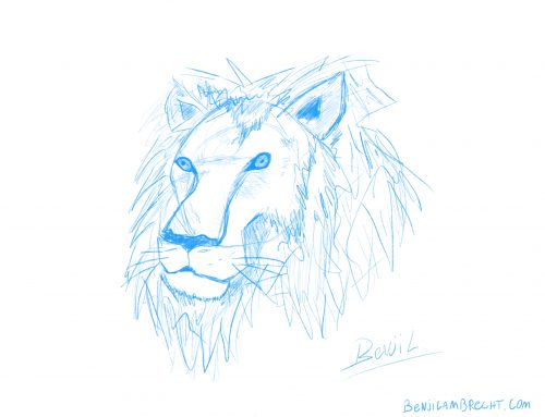 Lion sketch