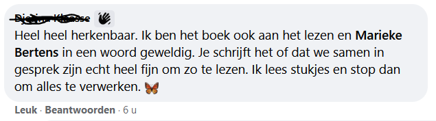 Spiegels, een praktische gids om jouw realiteit snel te veranderen, review
