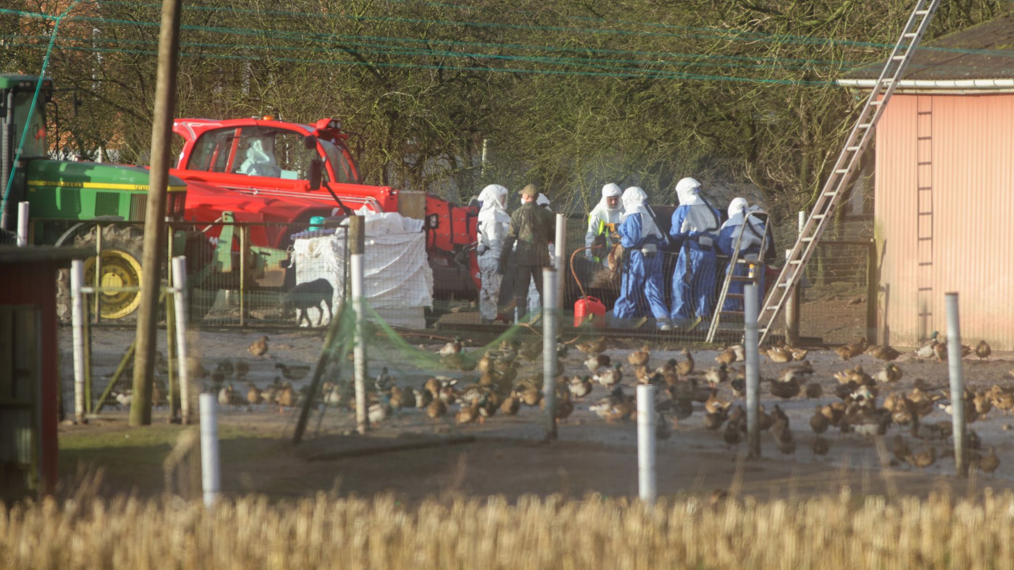 03/01-21  Beredskabsstyrelsen assisterer fødevarestyrelsen med aflivning af 9.000 fjerkræ efter fund af fugleinfluenza, Viborg