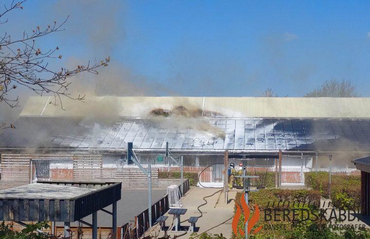 07/05-23 Voldsom brand på Gedved Skole, Gedved