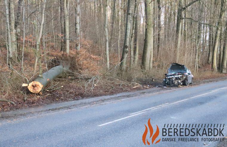 23/02-24 Odder: Bil og lastbil rammer træ