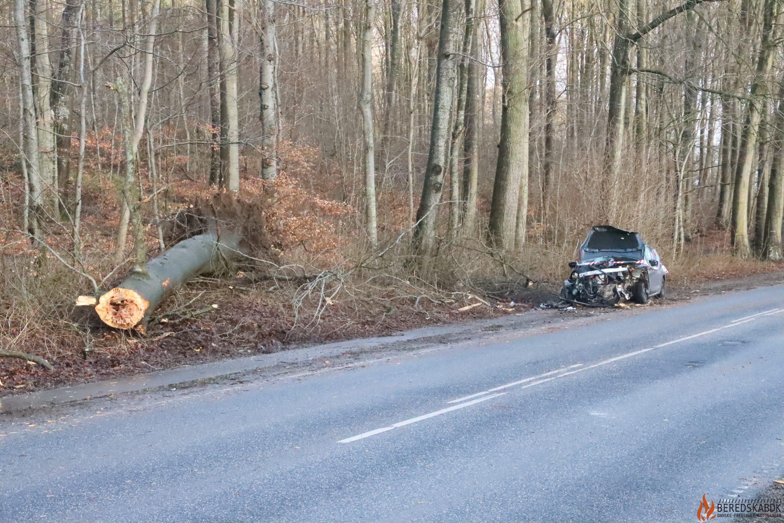23/02-24 Odder: Bil og lastbil rammer træ
