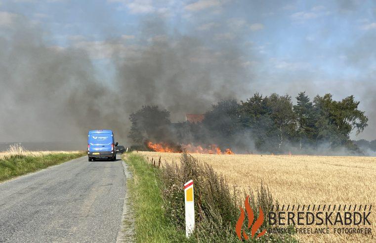 28/08-24 Aarhus: Større markbrand ved Krajbjerg