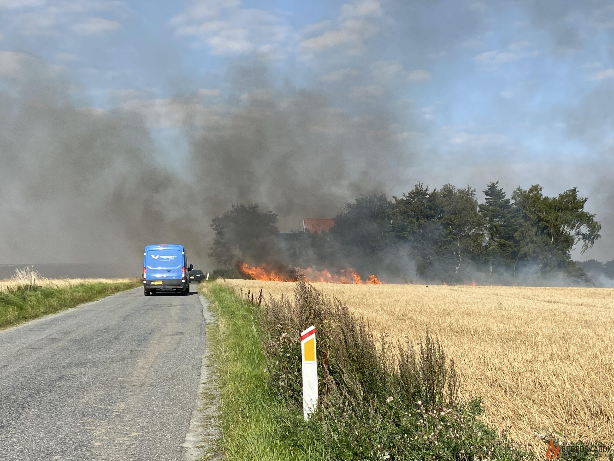 28/08-24 Aarhus: Større markbrand ved Krajbjerg