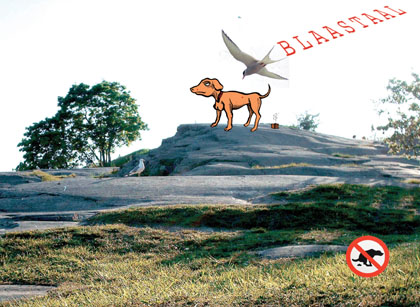 blaaspark klein