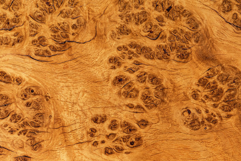 Cat's Paw Pippy Oak