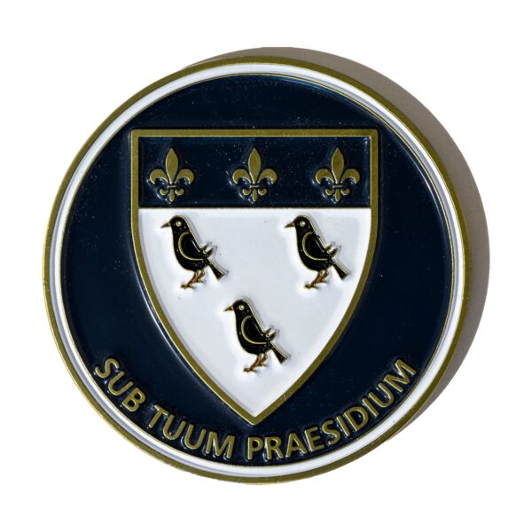 Custom School Coins Your Logo