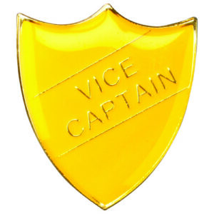 JADE GLASS CURVED PLAQUE WITH BLUE/GOLD HIGHLIGHTS (5mm THICK) - 6in